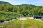 Teren 31.508 mp + Casa! 295.000 E Com. Golesti, Sat Opatesti, Valcea. - 6