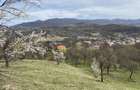 Teren intra/extravilan - 6