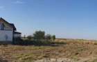 Domnesti If 2500 mp intravilan str Merisorului - 6