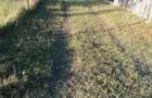 Teren 3.200 mp Sadova Piraul Morii - 13