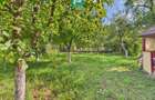 Casa cu 4 camere, curte si atelier mecanic - Sebes