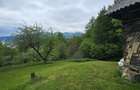 Domeniu Premium 1.7 Ha Intravilan Zarnesti | Liziera Padure - 8