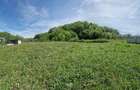 Teren intravilan Uiasca Bascov - 6