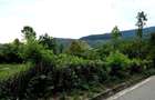 Teren Intravilan, utilitati in zona, 2600 mp, Draganeasa, Prahova - 3