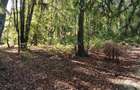 TEREN Intravilan 500-1000mp | Cadru natural deosebit | OCAZIE DE INVESTITIE