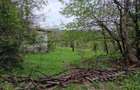 Vand teren Nucsoara, judetul Arges - 3