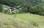 Vand teren de 3600m2 - 4