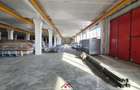 Hale noi in Baicoi, Ph--13.000mp--3e - 7