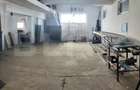 Domeniu privat, 12.500 mp teren, satul Viișoara - Târgoviște - 13
