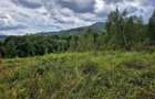 Natura/ Cabana de weekend/liniste, relaxare la Sinca Noua Brasov - 2