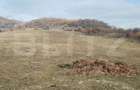 Teren intravilan 21/mp suprafata 3360 mp - 8