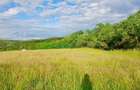 Teren intravilan de vanzare com. Chinteni | 2.900mp | - 5