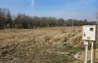 Teren Ghermanesti-Ciofliceni, Snagov, Str. Stefanita Voda, negociabil - 4