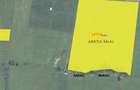 Plantatie Alun 2,9 ha - 10