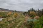 vand 12 hectare teren arabil cu microferma si iaz