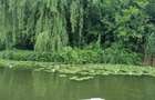 Parcele 500-1200mp cu deschidere la lacul Snagov - 2