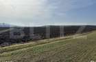 TEREN ARABIL EXTRAVILAN 15.000 mp SANTUHALM - 5