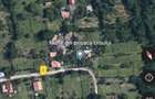 Teren 1600 mp Podu Cheii langa Baraj Paltinu | ideal cabane casa vacan?a - 4