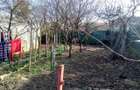 CI610 Ghiroda-Calea Ghirodei,casa individuala - 3