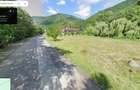 Vand teren in Retezat, 1260 mp, zona Raul Mare, intre pensiuni si case de vacanta - 6