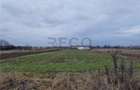 RECO Teren intravilan in Bors cu front mare - 3