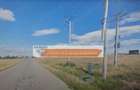Vand teren pentru Hale, Albota, S=10000mp , front stradal 80m - 1
