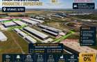 Hală Industrială P+1E | 8.000 mp teren | Acces A0 | DN2 | Afumați - 3