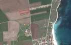 Teren Vama Veche 1,9ha (19.000m2) de la proprietar, strada asfaltata - 1