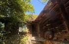 Vand casa zona Brusturi, jud. Arad - 8