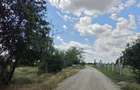 Teren intravilan 5000mp Burias, Peris IF - 4