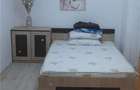 Apartament 2 camere PALAS -A. PANU - 4