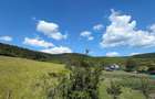 Teren de 5800 mp, în Vultureni - 1