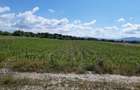 Teren agricol Podu Oltului la limita UAT Harman si UAT Prejmer 20300mp - 7