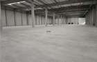 Spatii Industriale - 5000 mp - Logistica - Productie - Depozitare - 2