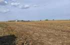 Teren intravilan 320 mp, Berceni - Strada Primaverii