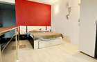 Bd. Stefan cel Mare, locuinta tip studio, toate dotarile - 2