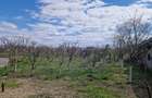 De vanzare proprietate in Com Madaras sat Ianosda - 9