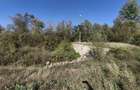 Teren imprejmuit cu iaz indiguit, 7200mp, Fratautii Vechi, R - 3