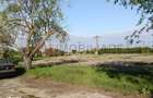 Ferma avicola inchiriere sau vanzare, localitatea Calacea - 5