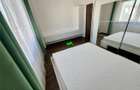 Penthouse de inchiriat 4 camere terasa Sibiu Doamna Stanca - 6