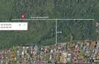 Particular vand teren 1124mp, 23000eur negociabil, 28x38m, in padurea Baneasa (Voluntari), forestier - 1
