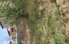 Teren intravilan, str.Capricornului, Domnesti, Ilfov-850 mp - 6