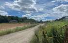 Teren intravilan 926 mp cu dublă deschidere – Bucium Pietrărie, Bârnova, Iași - 11