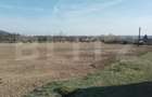 Teren intravilan cu suprafata de 9ha, Aninoasa - 2