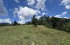 Teren intravilan Colibita 2300 mp panoramic