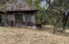 Vand teren, casa si grajd lemn Damis - 5