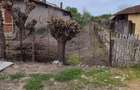 Vand teren 800 m Herasti-Giurgiu - 3