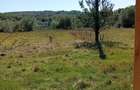 Vand casa + teren 5500mp Cacica, Langa Suceava sau schimb ap.Bucuresti - 5