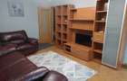 Apartament 2 camere de vanzare Apusului - 6