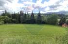 Teren intravilan in Vatra Dornei - 7